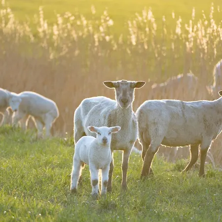 Alte Schule Welt アパート *