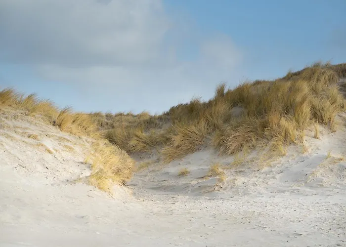 Appartamento Alte Schule Welt Westerhever